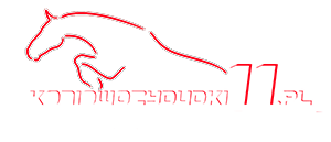 M&oacute;j Blog